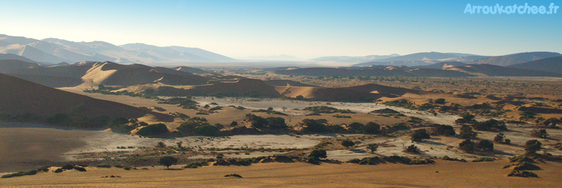 desert namibie